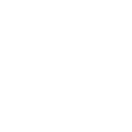 The Awakened Company